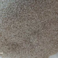 برنج شمال|خوردنی و آشامیدنی|شاهرود, |دیوار