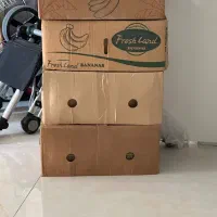 کارتون موز