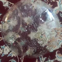 دیس|ظروف سرو و پذیرایی|تهران, خزانه|دیوار