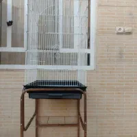 فروش قفس