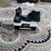 کفش کار نو 3 جفت
