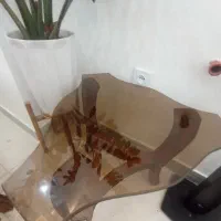 فروشی|مبلمان خانگی و میز عسلی|سنندج, |دیوار