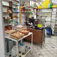 واگذاری لبنیات|فروشگاه و مغازه|کرمان, |دیوار