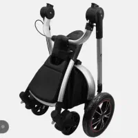 کالسکه بچه|کالسکه و لوازم جانبی|ری, دولتآباد|دیوار