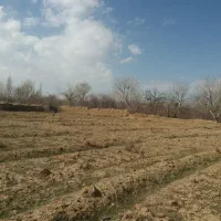 ۶۴۵۰متر زمین کنار جاده آسفالت