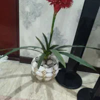گل مصنوعی