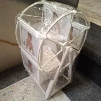 قاب عکس مدل چرخ و فلک کاملا نو
