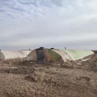 سازه گلخانه