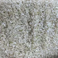 برنج‌چمپا