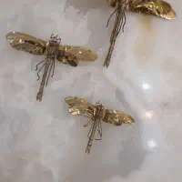 سنجاقک دیواری