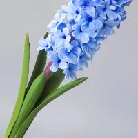 آموزش و فروش گل دستساز منعطف همیشه جاودان|گل مصنوعی|نجفآباد, ویلاشهر|دیوار