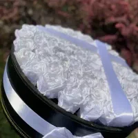 ولینتاین|گل مصنوعی|اهواز, سپیدار|دیوار