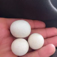سنگ آسیاب