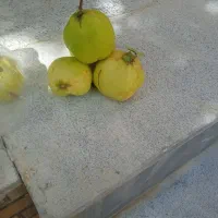 فروش به حضوری