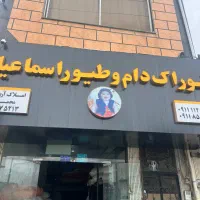 استخدام نیرو
