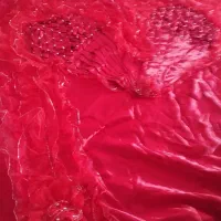 روتختی عروس درحدنو لازم ندارم|سرویس روتختی|هشتگرد, فاز ۱ مهستان|دیوار