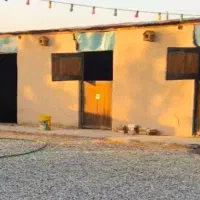 اجاره باشگاه سوارکاری اسب  (باکس اسب) شریف اباد