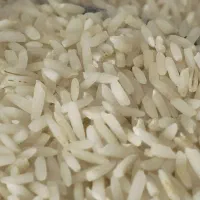 برنج محلی اصل گیلان درجه یک