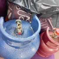 پیک نیک 2/5 کیلویی