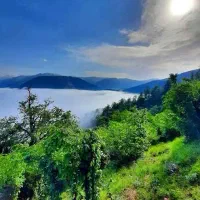 پیاده روی...