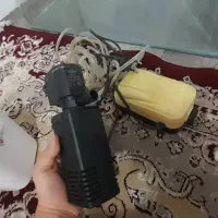 آکواریوم همراه تصویه|ماهی|مشهد, نیزه|دیوار