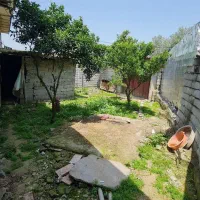 350مترخونه باغ/سنددار/اقساط بلندمدت/فروش فوری|فروش خانه و ویلا|فریدون‌کنار, |دیوار