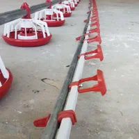 سیستم ابخوری نیپل تولید وفروش تجهیزات مرغداری|ماشینآلات صنعتی|قزوین, |دیوار