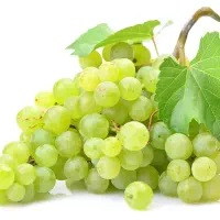 قوره انگور درجه یک