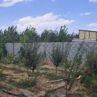 باغ ویلا نقلی خانوادگی