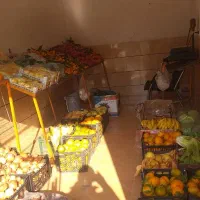 مغازه میوه فروشی