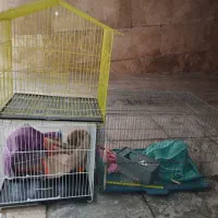 سه عدد قفس پرنده