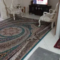 فرش ۹متری کاملا سالم به همراه یک جفت پشتی