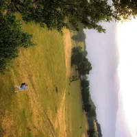 تصویر برداری هوایی تخصصی با هلی شات|خدمات پذیرایی، مراسم|تهران, پاسداران|دیوار