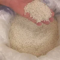 فروش برنج هاشمی ارگانیک خوش پخت شمال