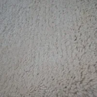 پالاز موکت|موکت|سقز, |دیوار