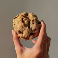 کیک وکوکی خانگی|خدمات پذیرایی، مراسم|اراک, |دیوار