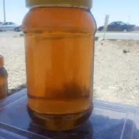 عسل دارویی باموم|خوردنی و آشامیدنی|گلبهار, شهر جدید گلبهار|دیوار