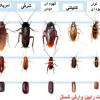 سمپاشی و کنترل افات بهداشتی ( سوسک ساس ...