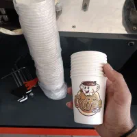 لیوان کاغذی درجه ۱ بدون بو و نشتی