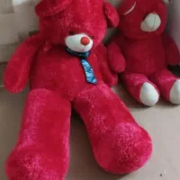 دو عدد خرس نو وبزرگ