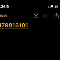 0917 981 5101
