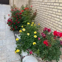 ویلا 300 متری شهر امیرکبیر فول امکانات|فروش خانه و ویلا|معصومیه, |دیوار