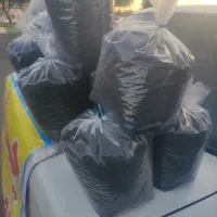 چای ایرانی صد در صد