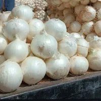 پوره پیاز مخصوص کبابی هاو رستوران ها و مصارف خانگی