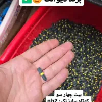 سری ۴سو کوتاه جنس اصلی مناسب انواع دریل ها