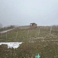 زمین ۱۶۷متری سند تک‌برگ داخل بافت الهادی