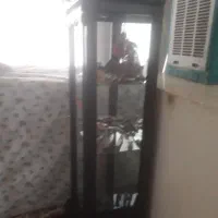 یک عددبوفه باچوب آلی وسالم