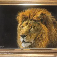 تابلو فرش منظره