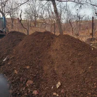 پخش  کود حیوانی  باغبانی|خدمات باغبانی و درختکاری|هشتگرد, تهران دشت|دیوار