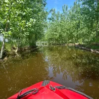 ویلا امن و شیک|فروش خانه و ویلا|رفسنجان, |دیوار